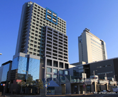 ママカリフォーラム