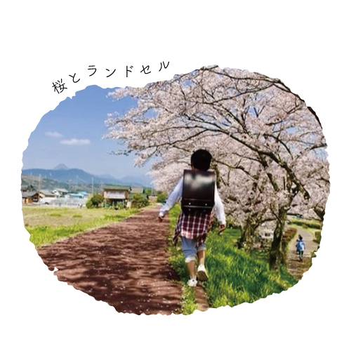ランドセル写真館・R.Kちゃん