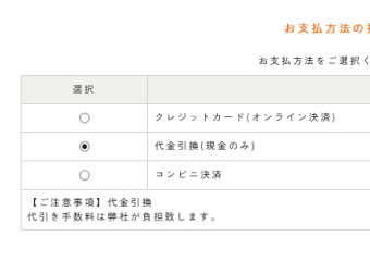 支払い方法等選択画面