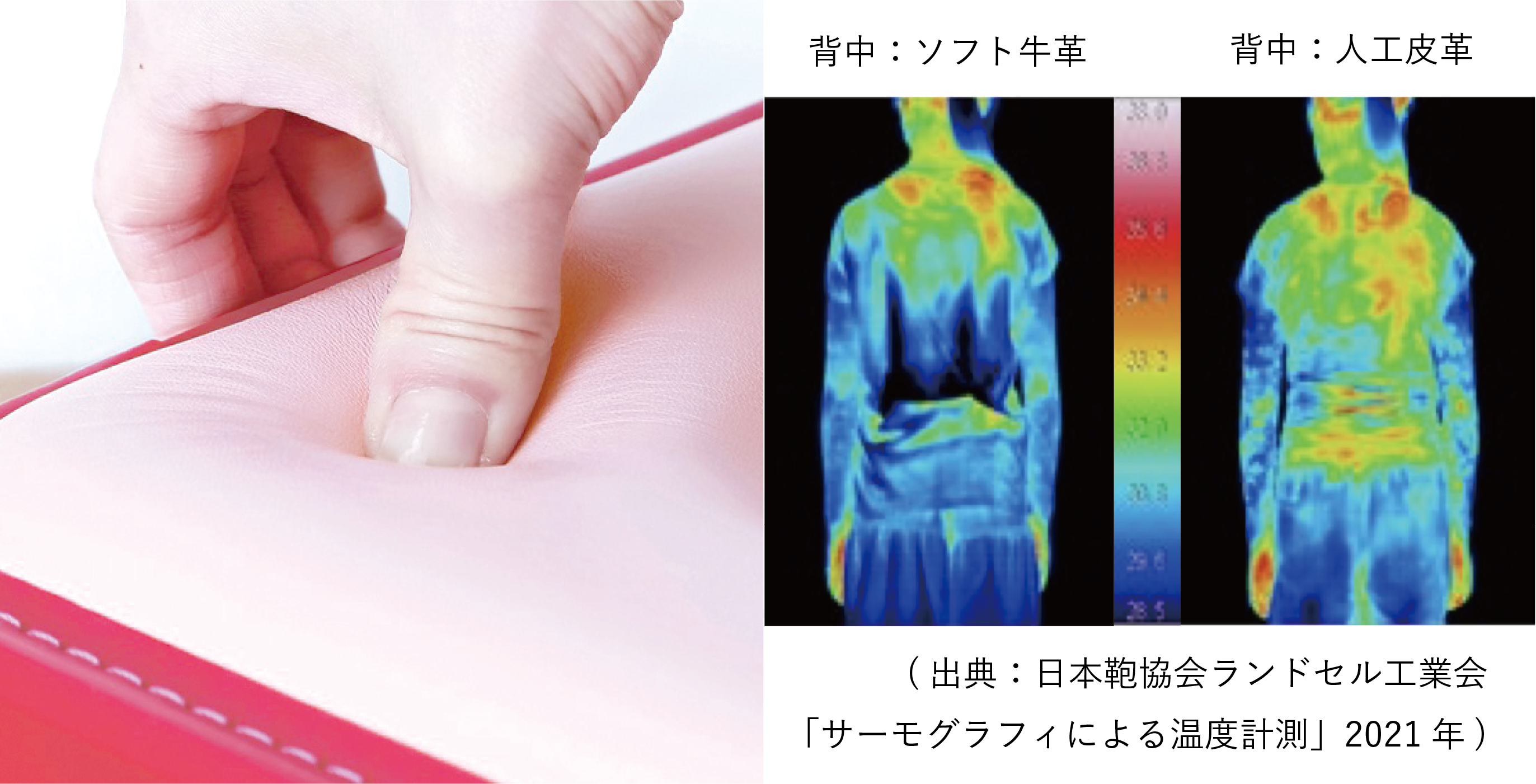 やわらかなソフト牛革イメージ